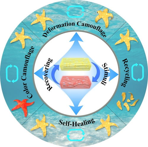 中國(guó)科學(xué)家研發(fā)出海星仿生軟體機(jī)器人 兼具自然偽裝與斷肢重生能力
