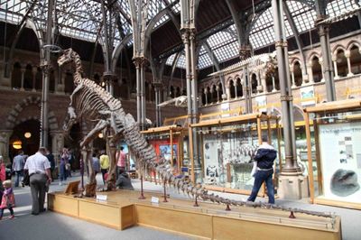 吳國盛視角下的牛津大學自然博物館 作為自然科學研究中心的歷史與啟示